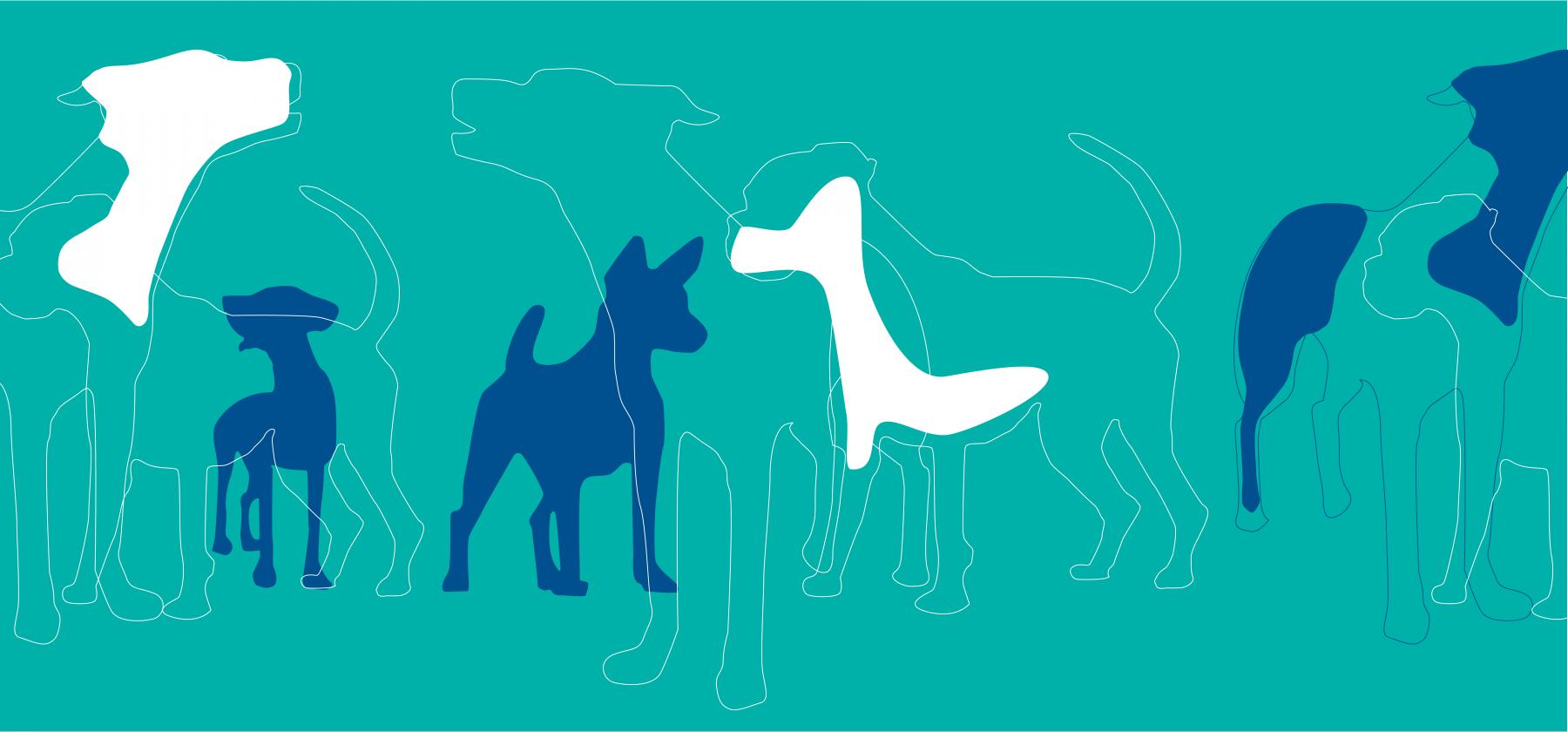 Helsinki Winner -koiranäyttelyn logo turkoosilla taustalla.